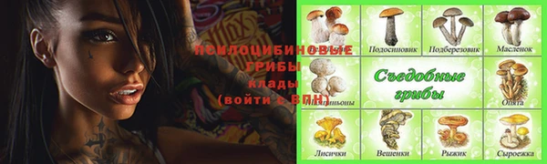 хмурый Покров