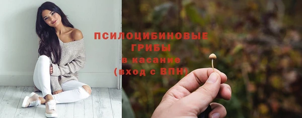 хмурый Покров