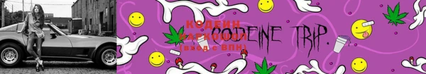 хмурый Покров
