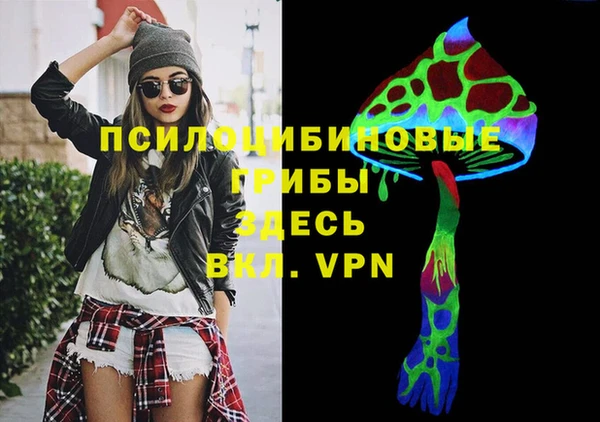 хмурый Покров