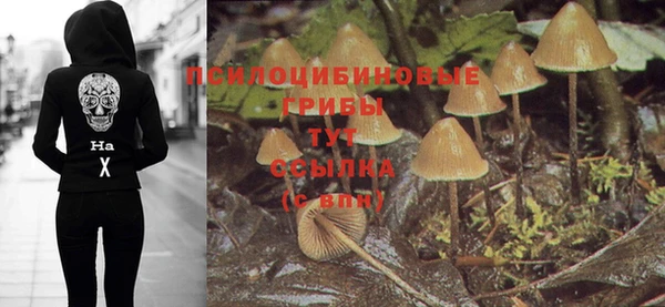 хмурый Покров