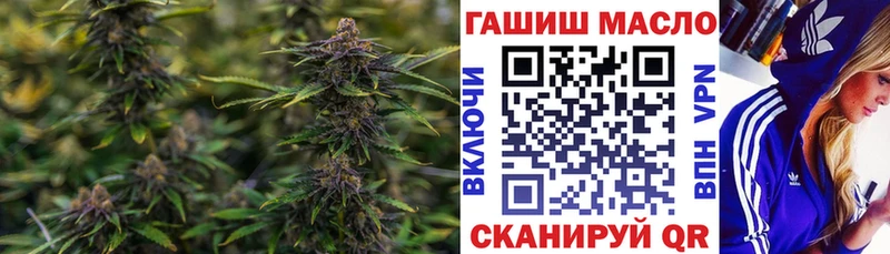 ТГК THC oil  цена   Пересвет 