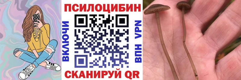 Галлюциногенные грибы мухоморы Пересвет